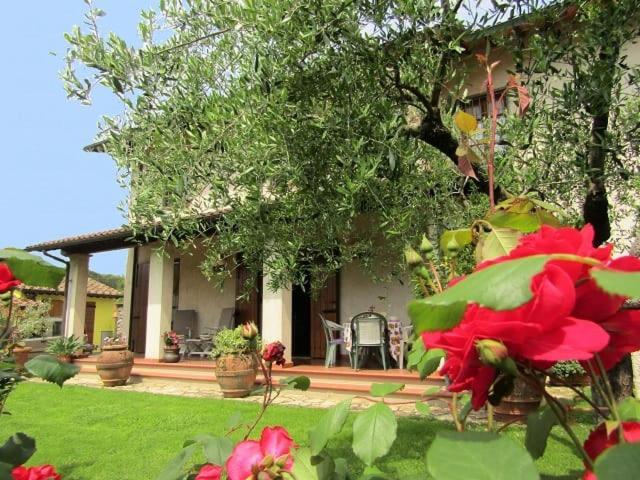 Casa Vacanze Lulu Camaiore Exterior foto